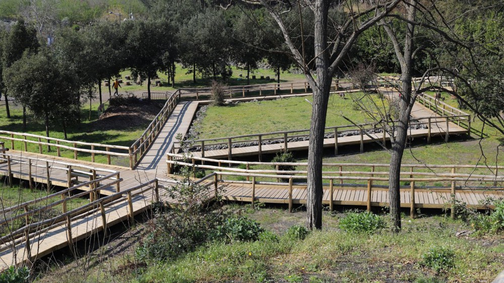 TERZIGNO, PASSEGGIATA INCLUSIVA IN PINETA