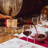 Pillole di vino: l'importanza delle bottiglie