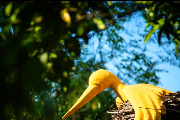 Animali a Palazzo. Creature mai viste nel Giardino delle Meraviglie
Mostra d’arte contemporanea