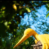 Animali a Palazzo. Creature mai viste nel Giardino delle Meraviglie
Mostra d’arte contemporanea