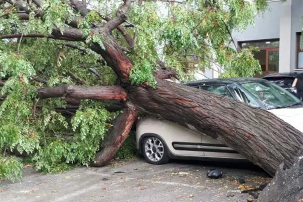 Apocalisse a Palma Campania: una tempesta d'acqua e vento abbatte alberi in città