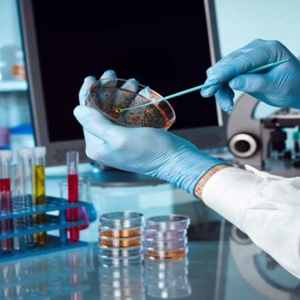 Biotecnologie: l'Italia deve investire di più e punta tutto sulle competenze