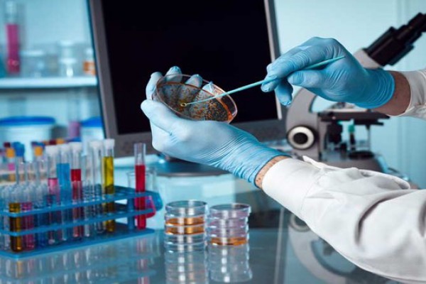 Biotecnologie: l'Italia deve investire di più e punta tutto sulle competenze