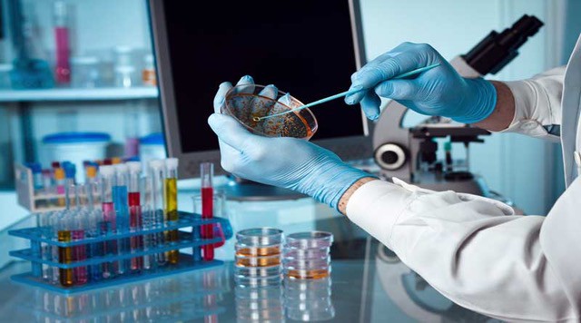 Biotecnologie: l'Italia deve investire di più e punta tutto sulle competenze