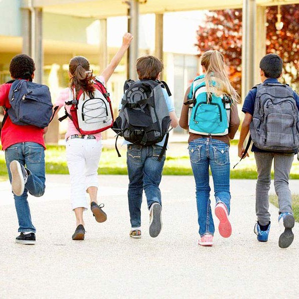 Nasce l’ "Osservatorio Nazionale degli Enti Vesuviani per il Benessere Psicologico e Fisico degli Alunni"