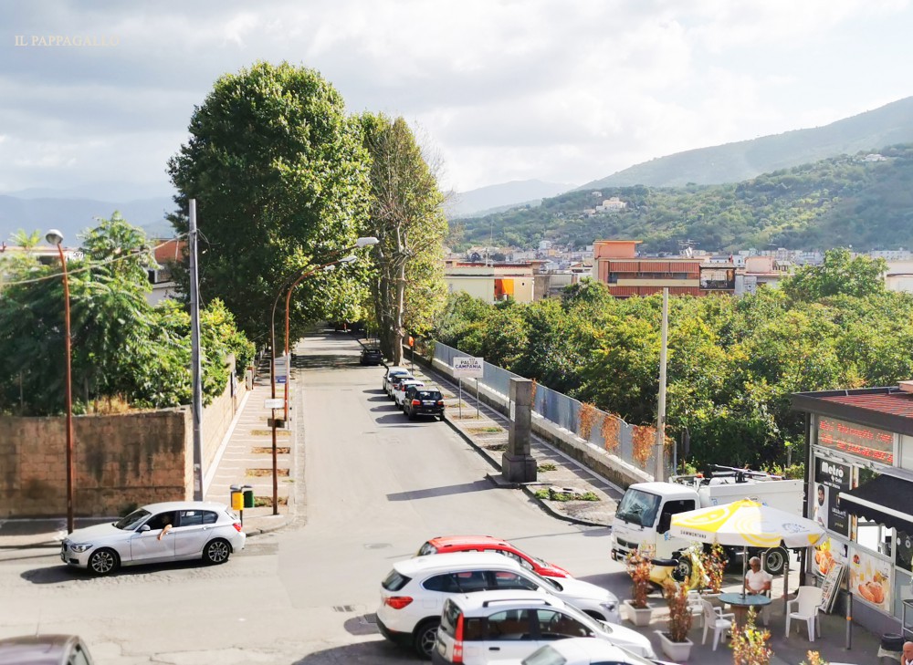 Trasloca la lapide celebrativa in onore di Giacomo De Vivis