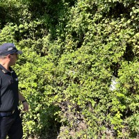 Turisti estoni sversano rifiuti a San Gennaro Vesuviano: multati e rispediti in patria