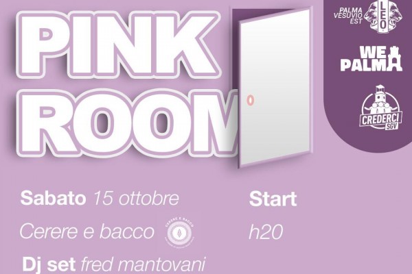Parte da Palma Campania la proposta di una "Pink Room" per tutelare donne e bambini vittime di violenza