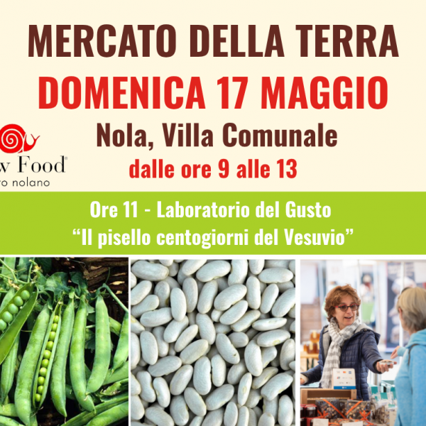 Nola, al Mercato della Terra del 17 maggio il pisello centogiorni