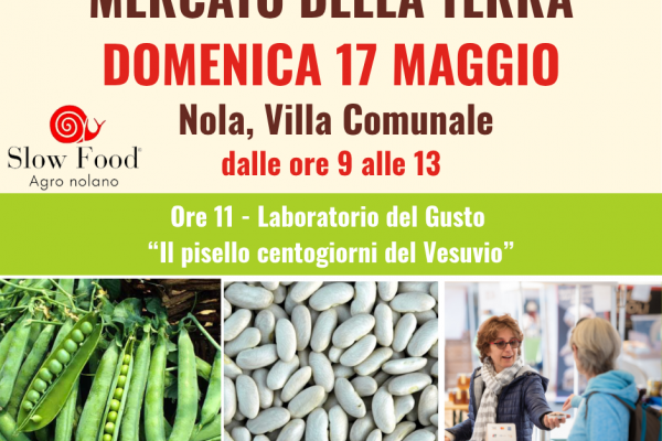 Nola, al Mercato della Terra del 17 maggio il pisello centogiorni