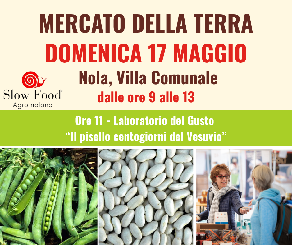 Nola, al Mercato della Terra del 17 maggio il pisello centogiorni