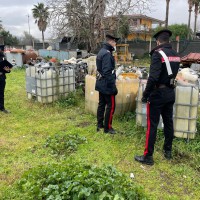 Armi e proiettili sottratti alla criminalità ma anche controlli ambientali. Controlli "alto impatto" dei Carabinieri
