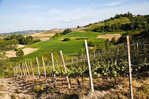 Pillole di vino: la strada della storica Astesana (Asti)