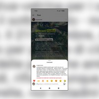 Terzigno Verde: "Noi tagliati fuori". Censura e esclusioni dalle iniziative ambientali del Comune