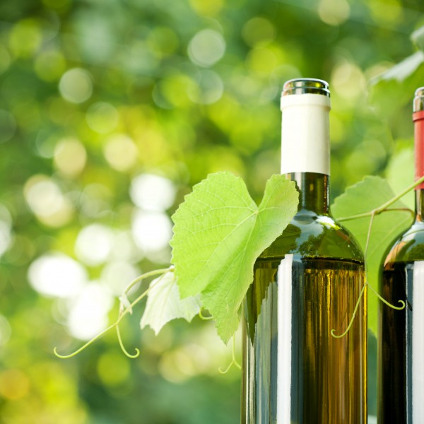 Pillole di vino: l'opzione naturale dei vini biologici