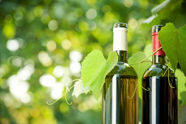 Pillole di vino: l'opzione naturale dei vini biologici