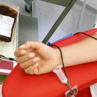 A Palma un evento della Polizia di Stato per sensibilizzare alla donazione del sangue