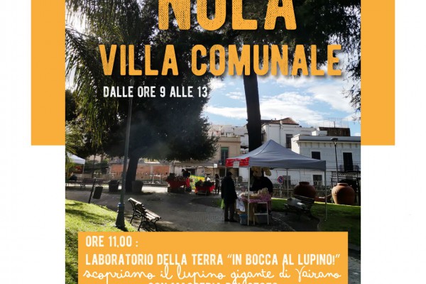 Nola: al Mercato della Terra del 15 marzo arriva il lupino gigante