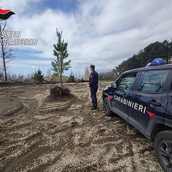 Sequestro a Palma Campania: Carabinieri Forestali in azione nel Vallone d'Aiello