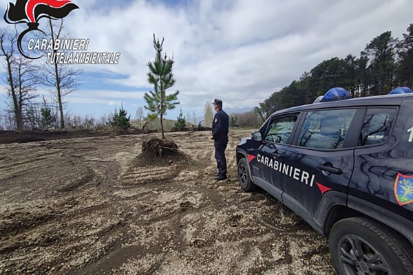 Sequestro a Palma Campania: Carabinieri Forestali in azione nel Vallone d'Aiello