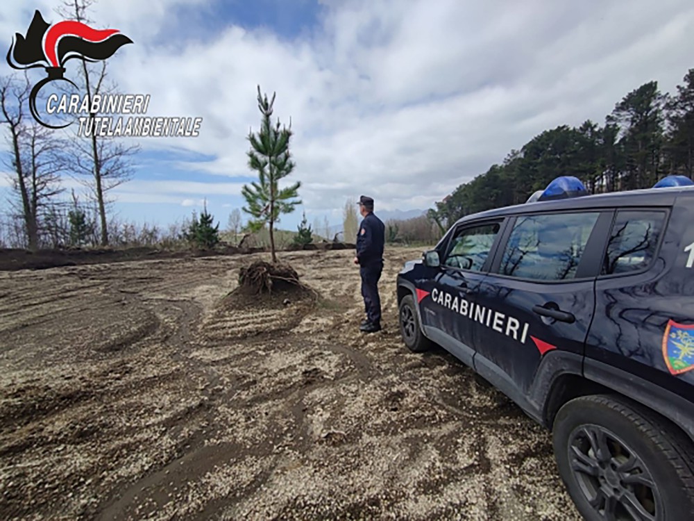 Sequestro a Palma Campania: Carabinieri Forestali in azione nel Vallone d'Aiello