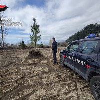 Sequestro a Palma Campania: Carabinieri Forestali in azione nel Vallone d'Aiello
