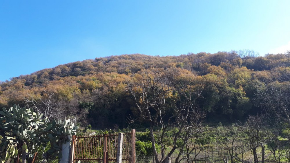 Escursione sulla Montagna di San Gennaro Vesuviano organizzata per domenica mattina