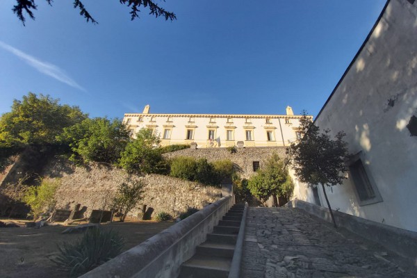 Valorizzazione del patrimonio culturale, Vittorio Sgarbi al Palazzo Mediceo di Ottaviano

 


 