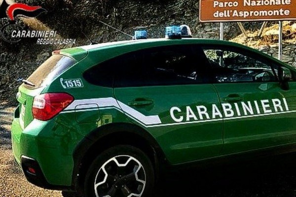 Nola: carabinieri forestali sequestrano merce in una pizzeria