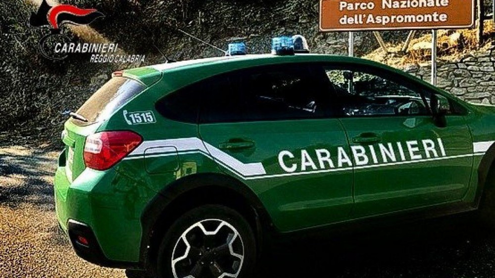 Nola: carabinieri forestali sequestrano merce in una pizzeria