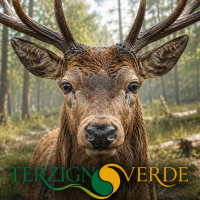 Terzigno Verde lancia la petizione contro il DDL Caccia