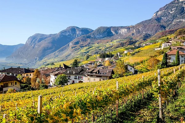 Pillole di vino: la strada del Trentino