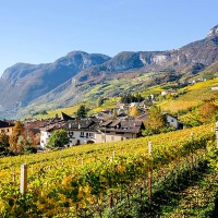 Pillole di vino: la strada del Trentino
