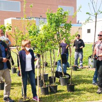 Loredana Casoria parla di KilometroVerdaParma: piantati 70mila alberi attraverso la creazione di spazi verdi per una nuova sensibilità ambientale