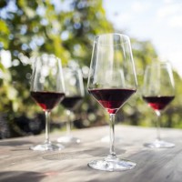 Pillole di vino: le primizie dell'Alto Adige