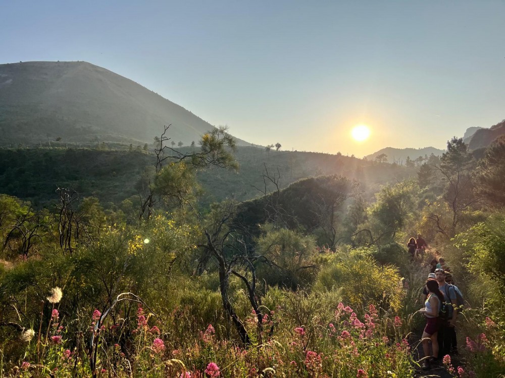 Pasquetta 2026: torna l’eco-escursione sul Vesuvio adatta a tutti