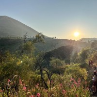 Pasquetta 2026: torna l’eco-escursione sul Vesuvio adatta a tutti