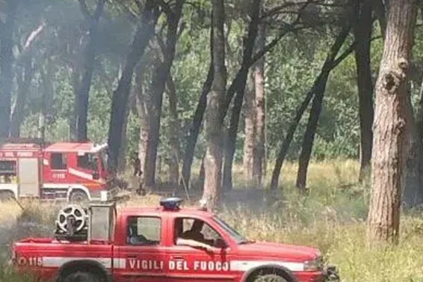 Palma Campania, incendio domato sulla pineta Tribucchi