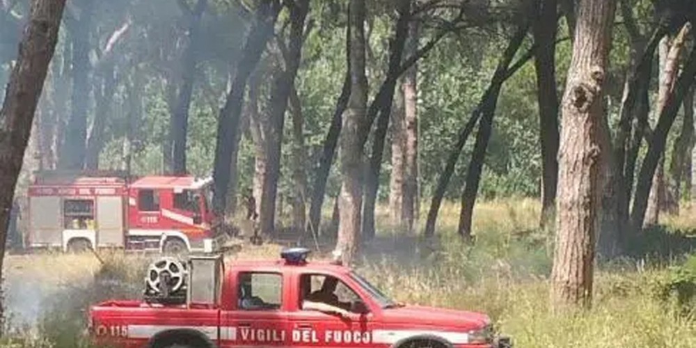 Palma Campania, incendio domato sulla pineta Tribucchi