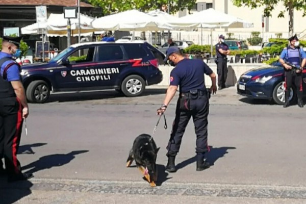 Unità cinofile alla ricerca di hashish a Palma