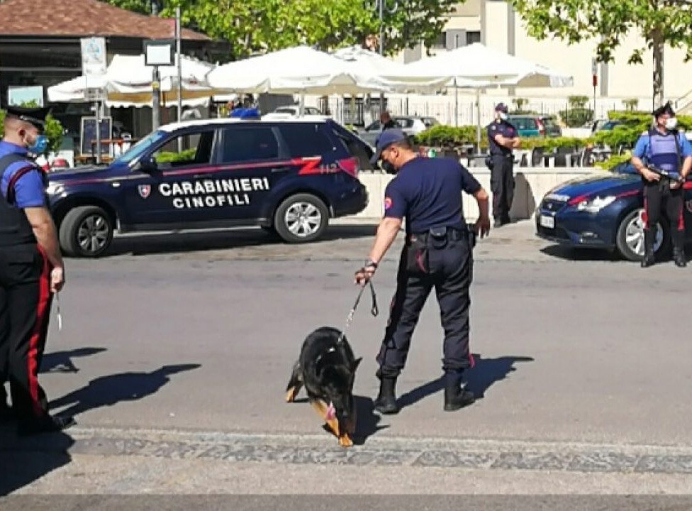 Unità cinofile alla ricerca di hashish a Palma