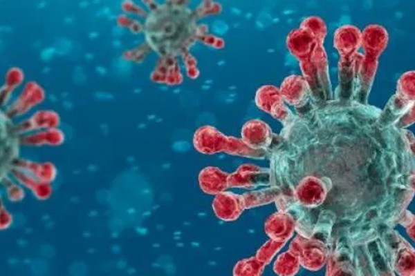 Coronavirus, le testimonianze dei palmesi nel mondo