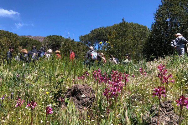 Pasquetta 2024: eco-escursione sul Vesuvio adatta a tutti