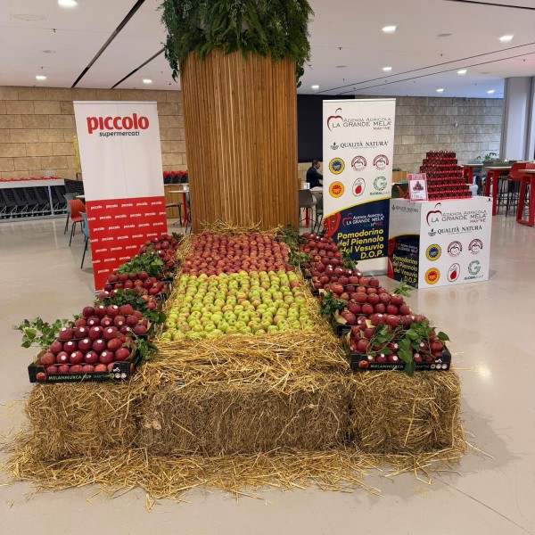 Nola, Supermercati Piccolo sede di via Variante 7 bis: la mela annurca torna protagonista