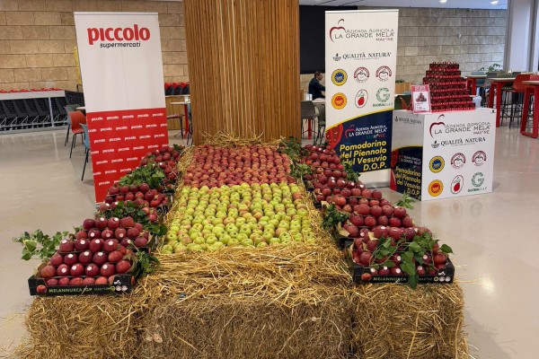 Nola, Supermercati Piccolo sede di via Variante 7 bis: la mela annurca torna protagonista