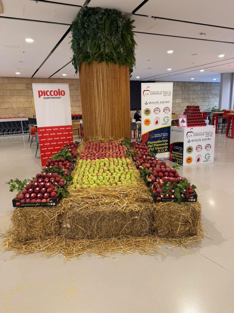 Nola, Supermercati Piccolo sede di via Variante 7 bis: la mela annurca torna protagonista
