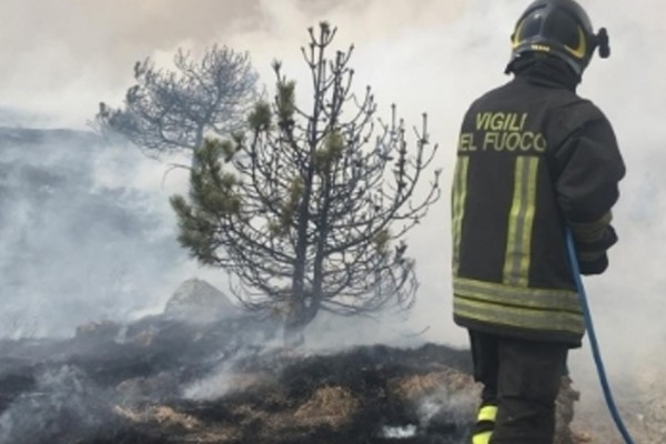 Incendio in collina: pompieri al lavoro tutta la notte, fiamme domate