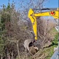 Marigliano, al via la pulizia dei canali: interventi a Faibano e Lausdomini dopo anni di attesa