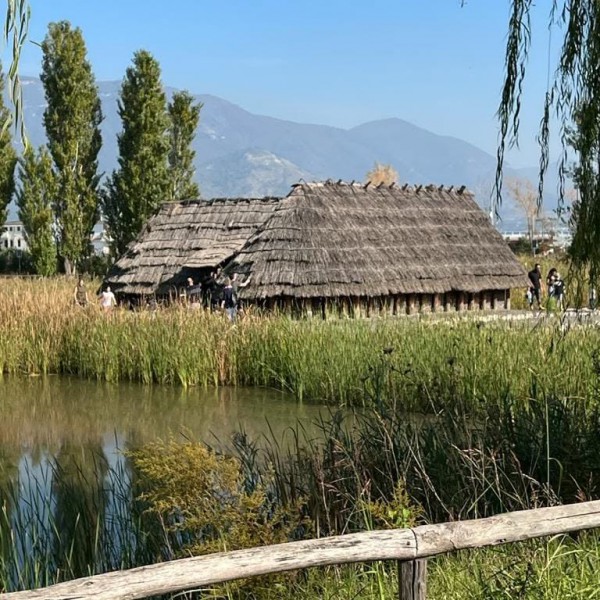 Longola: istituzioni e associazioni uniti per la rinascita del parco. Evento il 5 luglio, nasce l’iniziativa "Una frase per Longola"