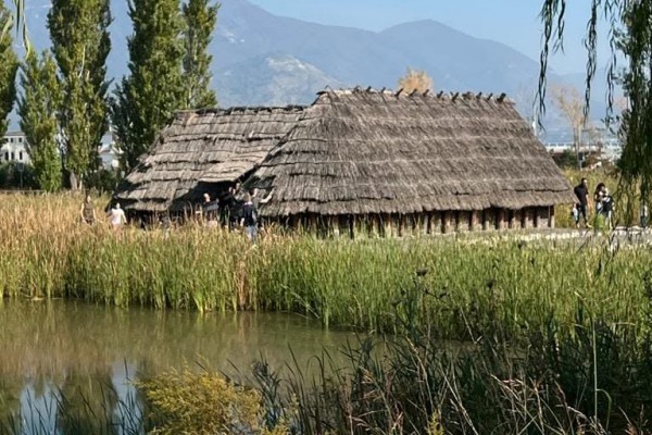 Longola: istituzioni e associazioni uniti per la rinascita del parco. Evento il 5 luglio, nasce l’iniziativa "Una frase per Longola"